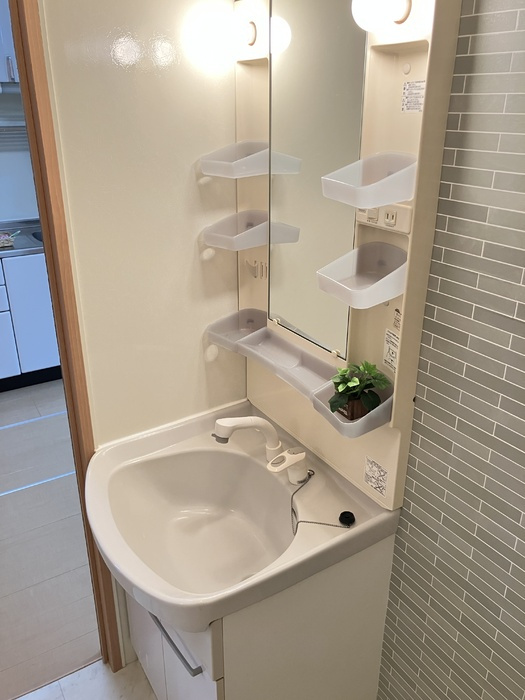 セジュール浅江の洗面所