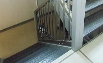 【ロビー】 | オリーブコート