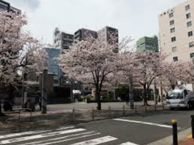 【周辺】 | オリーブコート