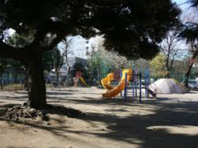 【周辺】 | オリーブコート