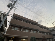 サン・ブルームの画像