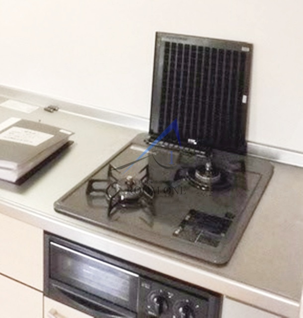 レオーノのその他