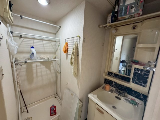 -三丁目不動産-　本庄市千代田2丁目　ホーユウパレス本庄の洗面所