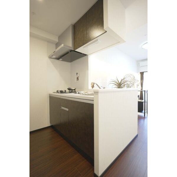 プレジオ三国EUROのキッチン