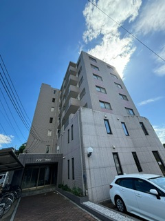 アイビークロス