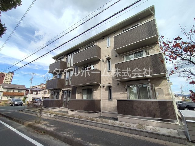 マリーゴールド　B