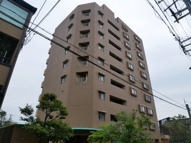 ラフィール心音の画像