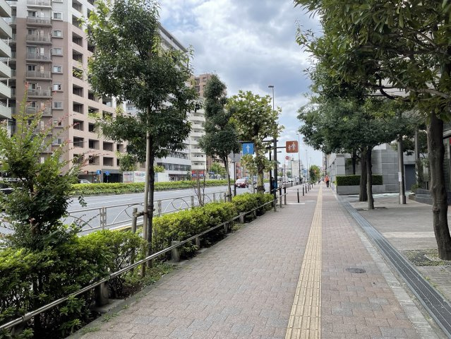 コスモ巣鴨シティフォルムのその他|前面道路