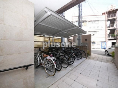  | パインリッチ