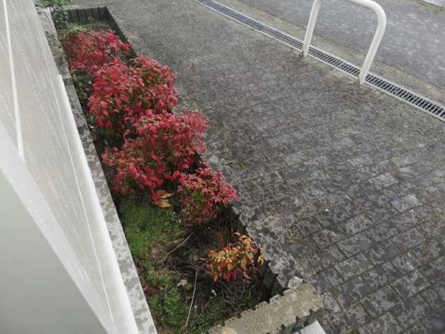 レオパレスドリームのその他|設備仕様は号室により異なる為、現況を優先とします。