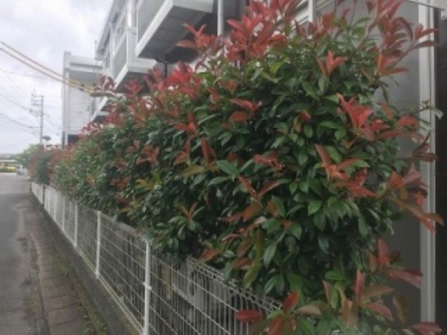 レオパレス小郡南のその他