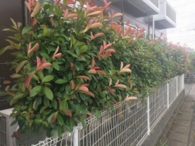 レオパレス小郡南のその他