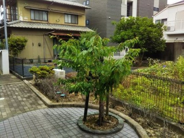 レオパレスハイライフのその他