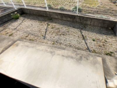 【庭】 | シェルゼファー