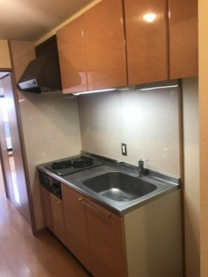 ピュアドームパルトーネ博多のキッチン