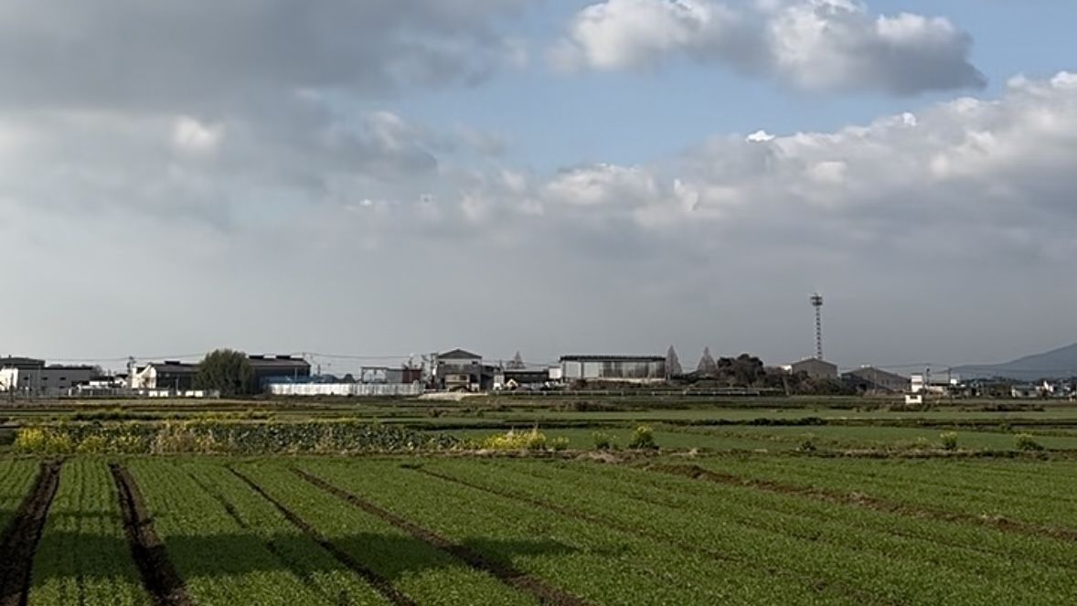 朝倉郡筑前町下高場　売り土地【9号地】の周辺|田園風景が眺められます