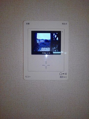ブルーベリーのセキュリティ