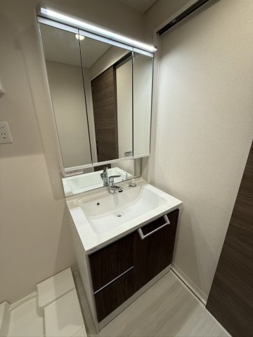ダイアパレス大名ガーデンの独立洗面台