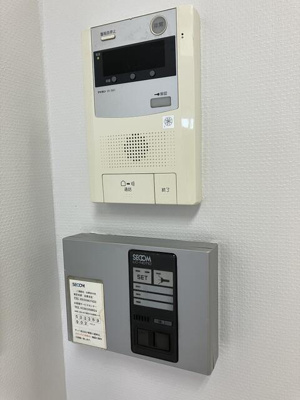 【セキュリティ】 | ラピツカキヌマ |  
