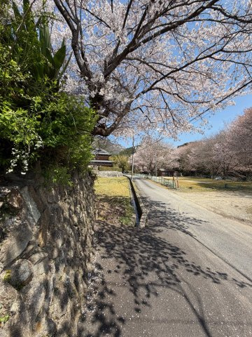 吉野郡吉野町大字志賀　中古戸建の周辺|約3万本の桜が山一面に広がって春は圧巻！夏は吉野川で川遊びやBBQ、秋は紅葉もきれいで年間通して楽しめる吉野(^^)/