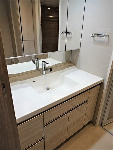 ザ・札幌タワーズ　イーストタワーの洗面所