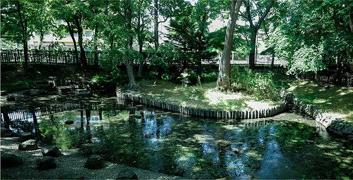 ジュノール札幌植物園のその他|※北海道大学植物園（１０４０ｍ）