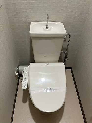 ライオンズステーションタワー東札幌のトイレ