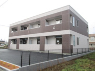 グレイス・ベルジュの画像