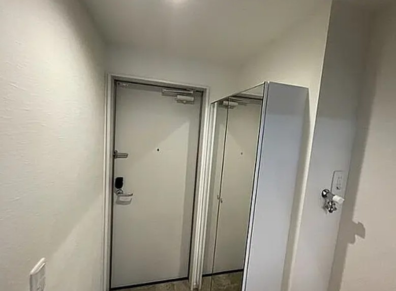 ルミナス新板橋の玄関|※別部屋参照写真となります。