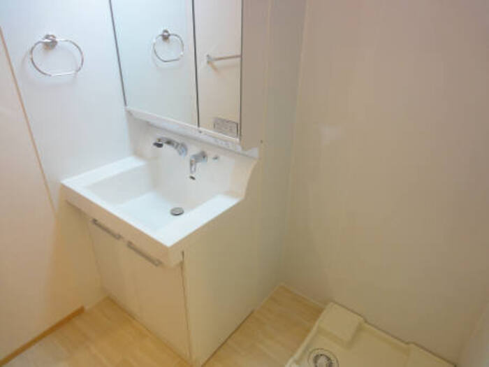 スプリングハウスの洗面所|洗面所