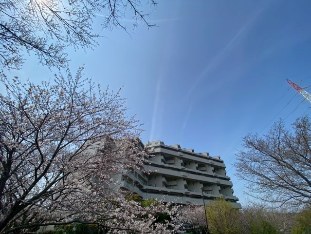 東急ドエル船橋ビレジのその他