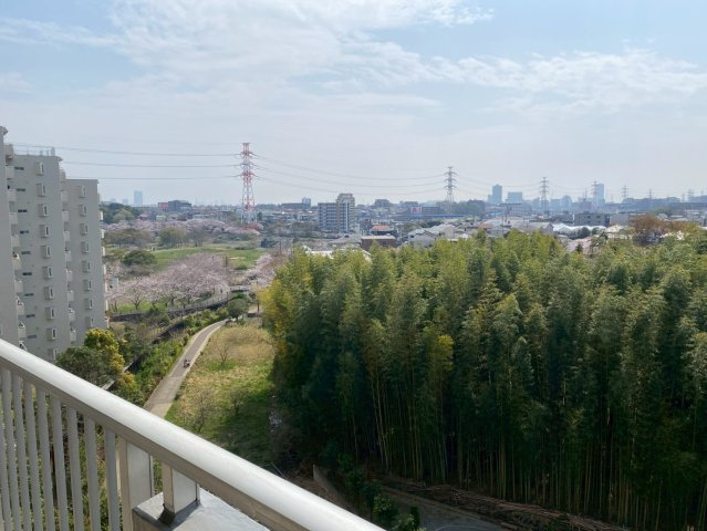 東急ドエル船橋ビレジの展望