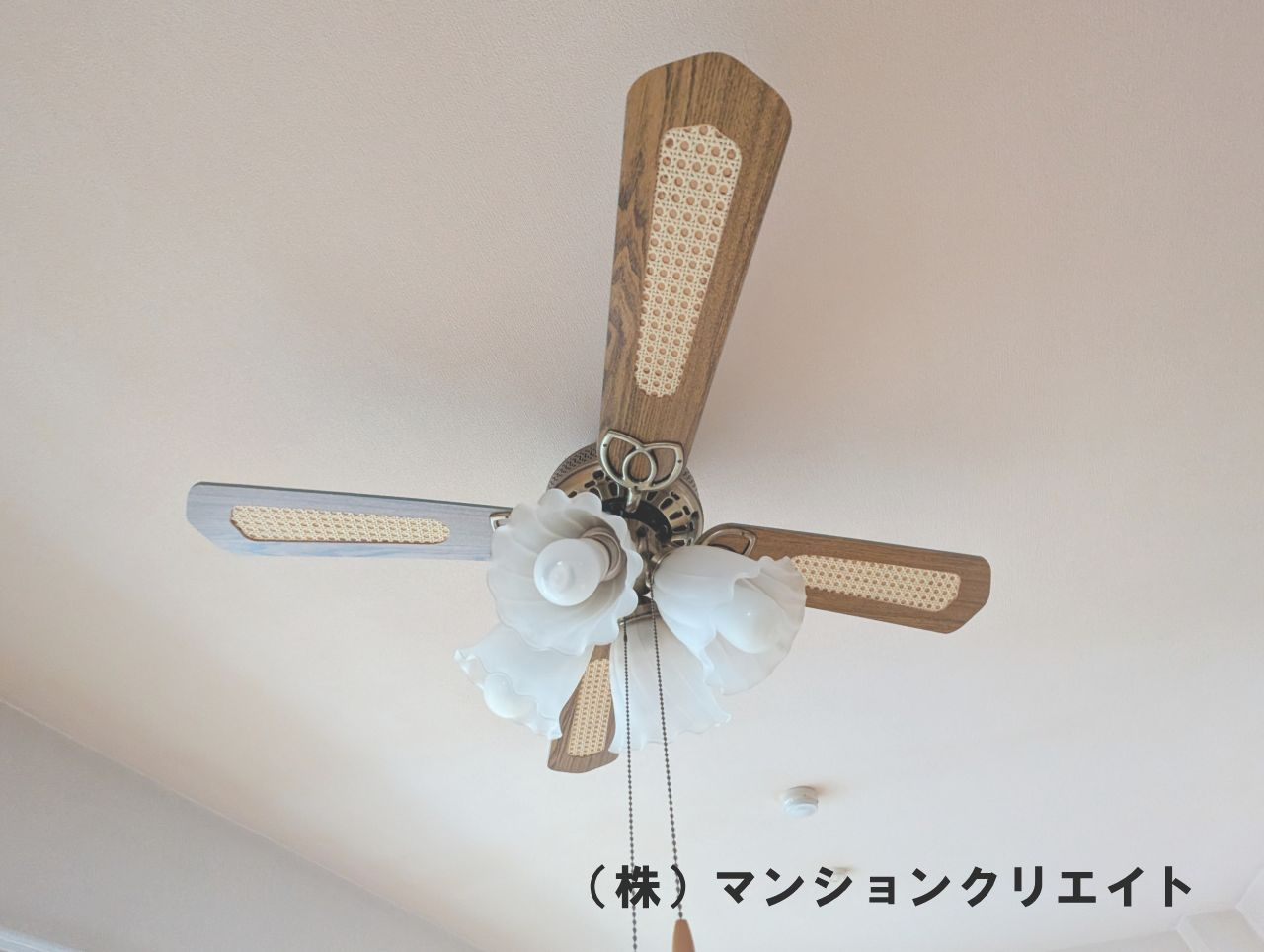 プチアベニュー大和田のその他|LDKのライト付きシーリングファン