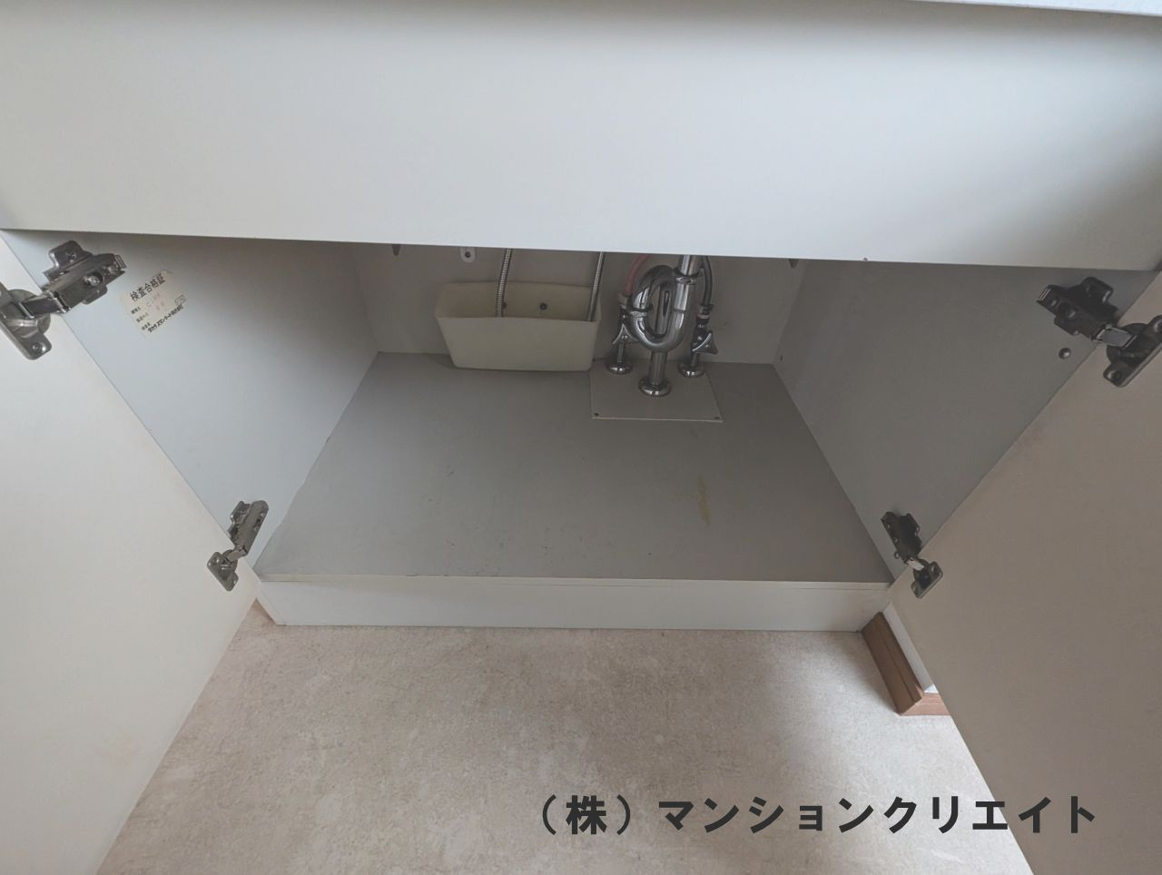 プチアベニュー大和田の収納|洗面下収納
