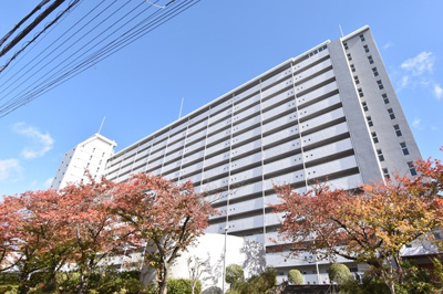 【外観】 | 公社千里山田D住宅A-２棟 | 現在ご返済中のカーローン・カードローン・教育ローンなどを住宅ローンに一本化したり、家具家電購入費用・引越し費用を住宅ローンと組み合わせるなど、お客さまにメリットの多い住宅ローンのご提案が可能です。