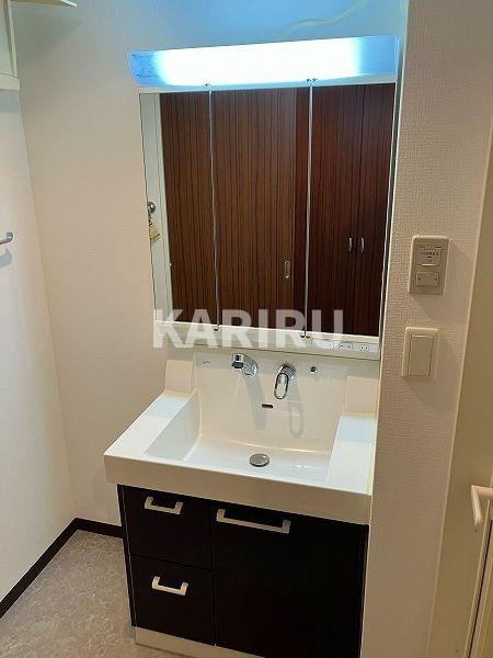 URBAN TERRACE ABENOの洗面所