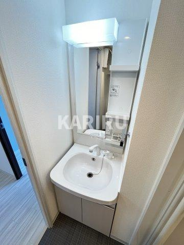エグゼ大阪城イーストの洗面所