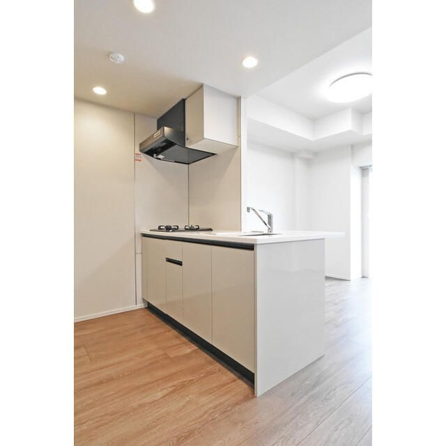 ルネサンスコート上野入谷のキッチン