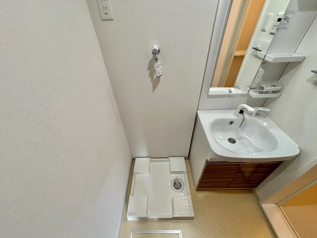 Aruo29の洗面所