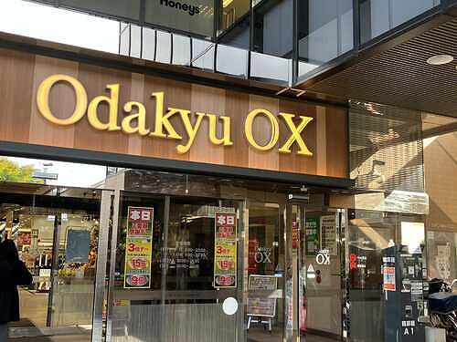 狛江市和泉本町１丁目の賃貸マンションの周辺