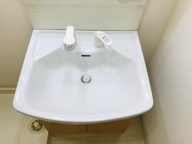 アクアＢ棟の洗面所|大型洗面ボウル