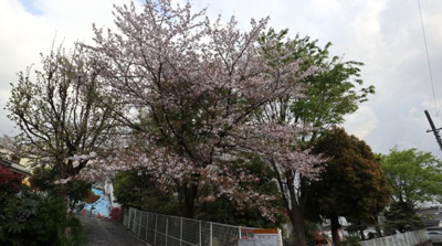 【その他共用部分】 | メゾン菅生台