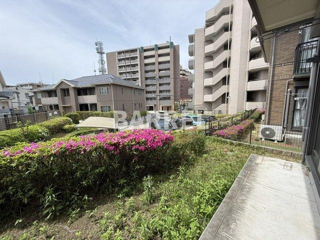 シャイアの展望