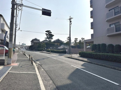  | アドリーム金剛