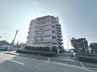  | アドリーム金剛