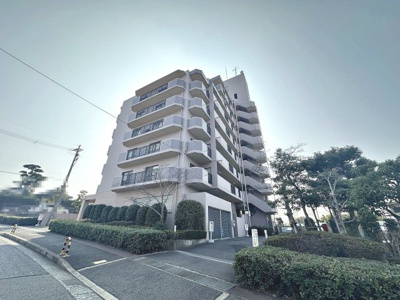  | アドリーム金剛