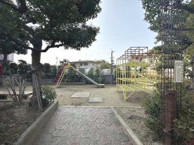  | アドリーム金剛