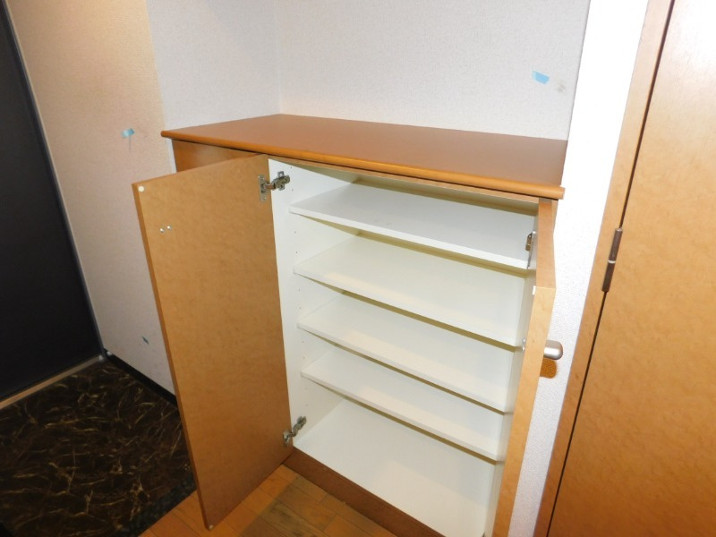 ステラメゾン下北沢の玄関