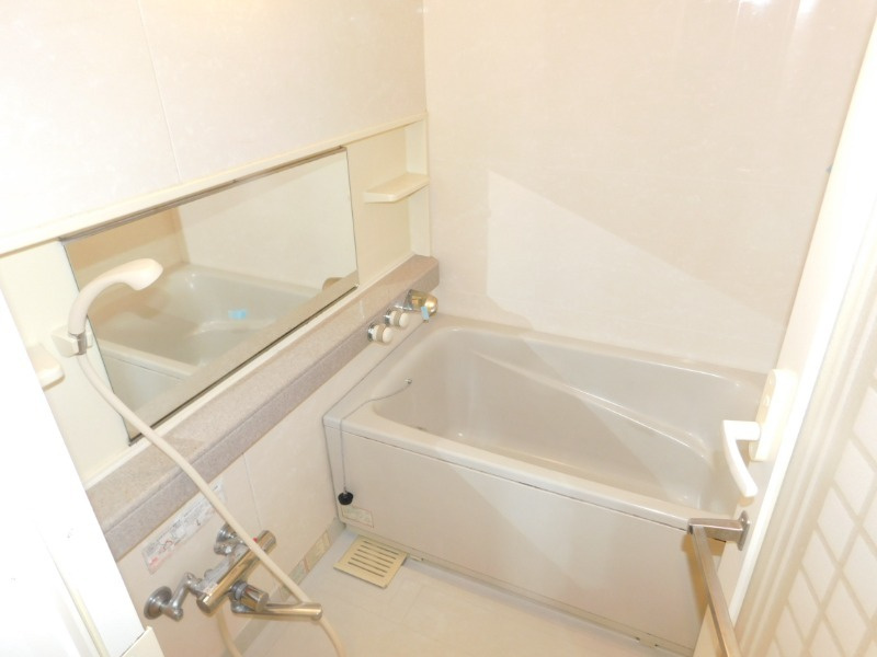 ステラメゾン下北沢の浴室