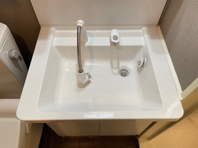 ブレシア銀座イーストの洗面所